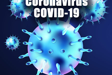 Coronavirus Update 5/29/2020